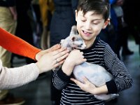 Wystawa Koty Poznan 2016 DeKaDeEs  (56)  Chłopiec i kot fot. DeKaDeEs / Kroniki Poznania © ®